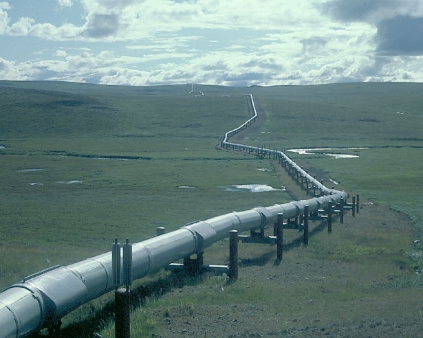 Vitter Speaks Out On Obama Nixing The Keystone XL Pipeline