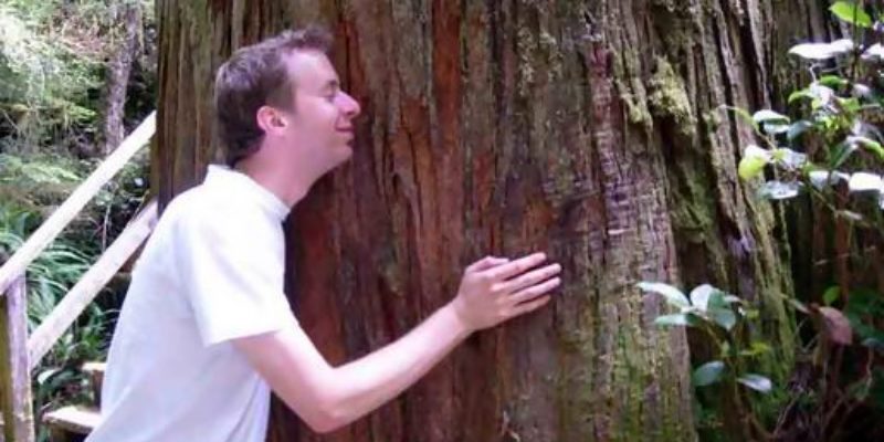 Yet Another Reason To Hate Tree Hugging Hippies—The Freon R-22 Ban