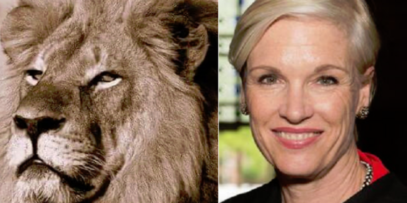 The Big Difference Between Cecil The Lion And Cecile Richards In One Photo