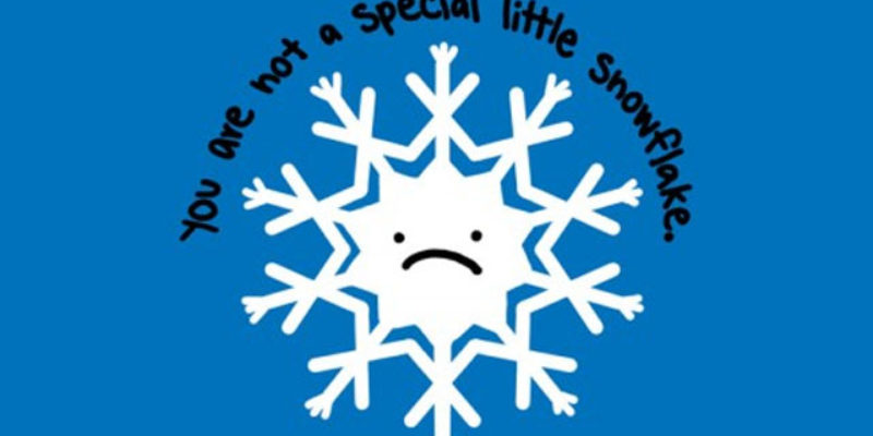 you-ve-got-to-read-this-story-about-how-a-special-snowflake-got-herself