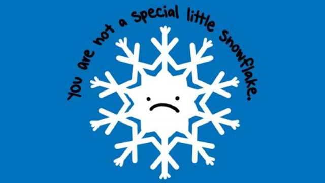 you-ve-got-to-read-this-story-about-how-a-special-snowflake-got-herself