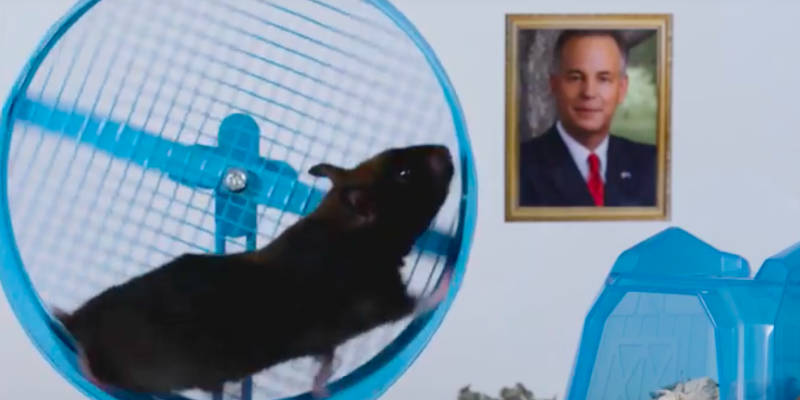 3RD DISTRICT: Scott Angelle Is A…Hamster?