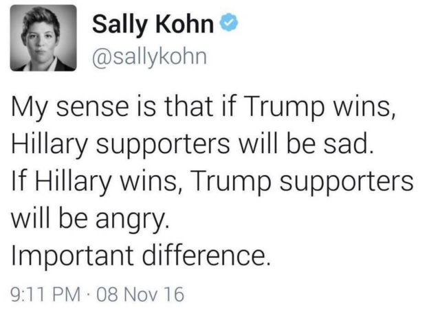 sally-cohn-stupid