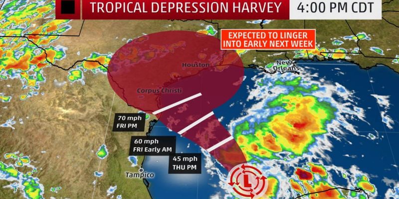 New Orleans Might Not Deserve Tropical Storm Harvey, But Mitch Landrieu Sure Does