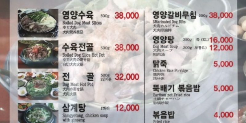 GROSS: Olympics Ignore South Koreans Eating Dog and Puppy Meat [video]