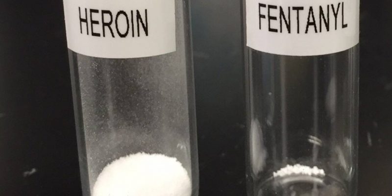 INCREDIBLE: Massive drug bust just south of the border, Enough fentanyl to kill millions