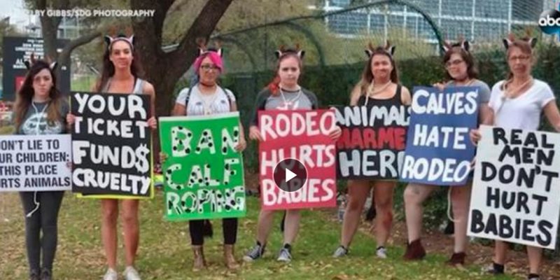 Activists Protest Against Houston Livestock Show and Rodeo [video]