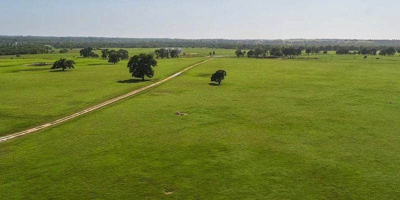 VIDEO: Buy This Ranch North Of Houston For The Low Price Of $51 Million