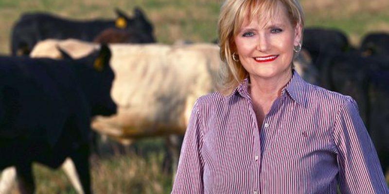 Will Cindy Hyde-Smith Win The Mississippi Senate Election Despite The “Public Hanging” Comments?