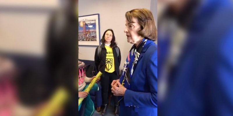 APPEL: Dianne Feinstein, The Green New Deal And A Frightening Future