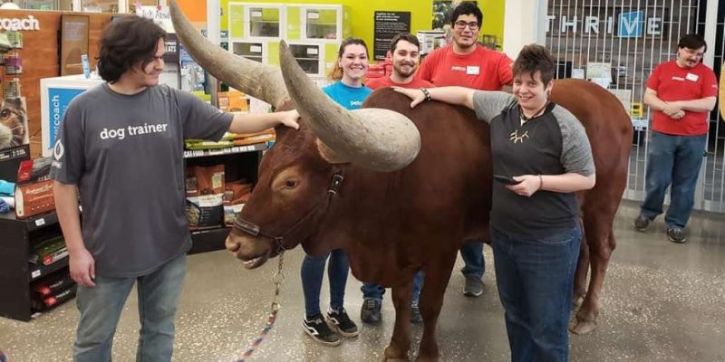 ONLY IN TEXAS would you see this at a Petco [video]