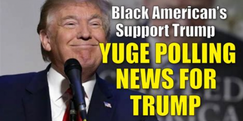 Blacks Celebrities for Trump are speaking out [video]