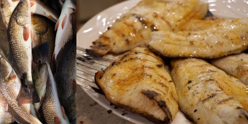 MARSH MAN MASSON: Watch Us Catch And Cook This Incredible Fish Dish!