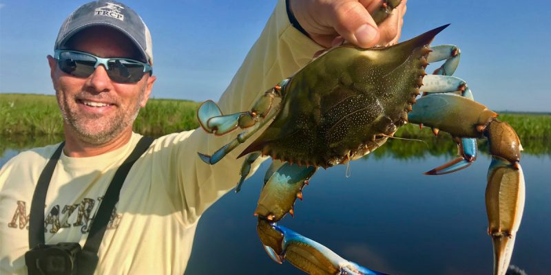 MARSH MAN MASSON: Roadside Crabs As Fast As We Can Catch Them!