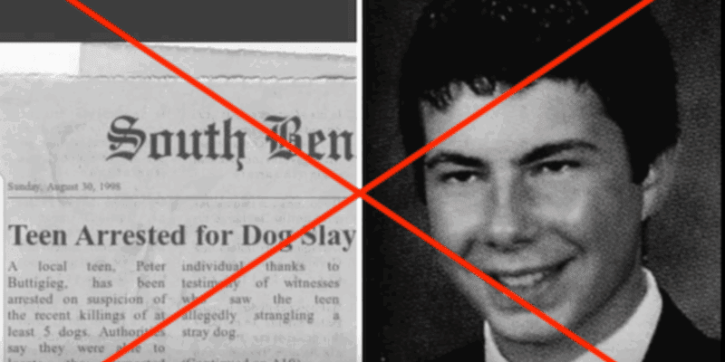 Fake news article clip with real news masthead suggests Buttigieg killed dogs. He didn’t.