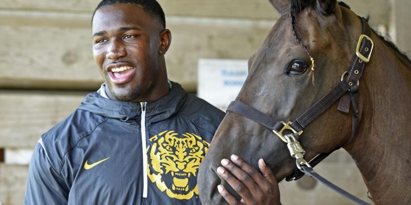 HORSE MAN: Former Tiger Devin White Welcomes New Teammate As Only He Can