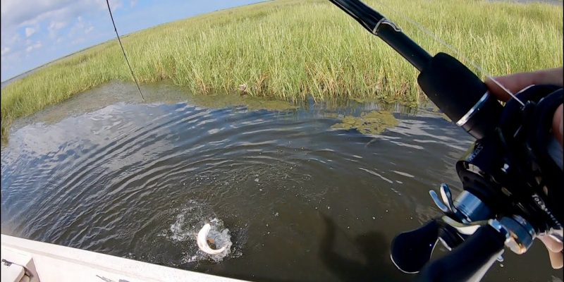 MARSH MAN MASSON Q&A: What’s The Future Of Speckled Trout Fishing? +MORE!