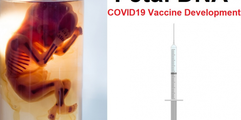 Coronavirus vaccine, at least 27 vaccines, use cells from aborted babies
