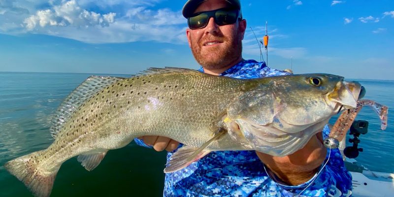 MARSH MAN MASSON: A Road Trip To BIG Speckled Trout!