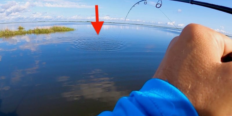 MARSH MAN MASSON: One Lure Makes A HUGE Difference!
