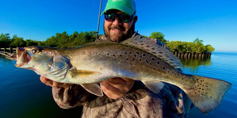 MARSH MAN MASSON: Speckled Trout Over Grass Beds In CRAZY Numbers!