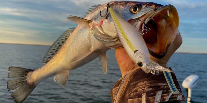 MARSH MAN MASSON: First Time Fishing This Lure WON’T Be The Last