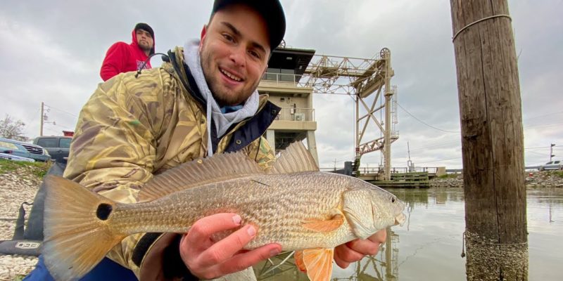 MARSH MAN MASSON: Catching REDFISH From A Public Road