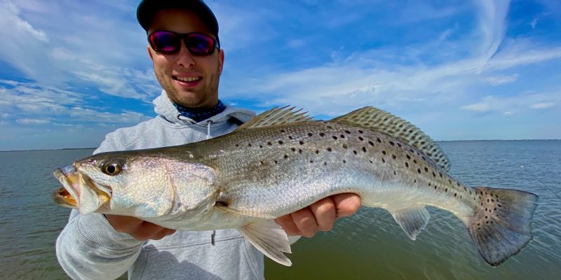 MARSH MAN MASSON: Topwater Blowups And Deep-Water Speckled Trout!