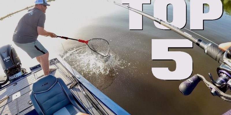 MARSH MAN MASSON: Five Lures BLASTING Fish Right Now!