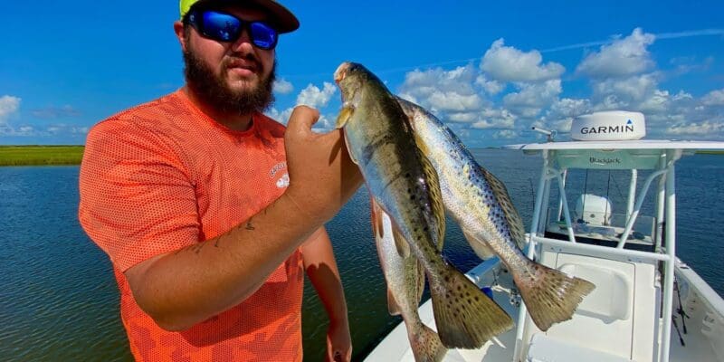 MARSH MAN MASSON: Not Big Speckled Trout, But LOTS Of Them!