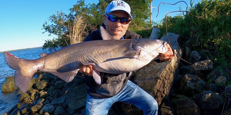 MARSH MAN MASSON: Massive Cats From The Mississippi River Bank!!