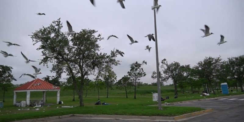 MARSALA: New Orleans Lakefront Littered With More Than 10 Tons Of Easter Trash