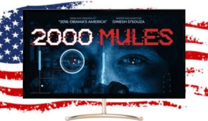ALEXANDER: 2000 Mules Documentary Substantiates 2020 Election Fraud
