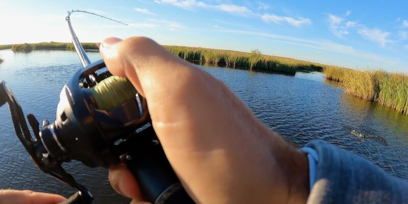 MARSH MAN MASSON: The Fish Really Wanted These Two Baits!