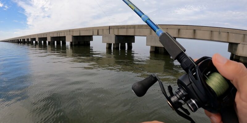 MARSH MAN MASSON: I Brought This NEW Rod To This OLD Bridge And Caught …