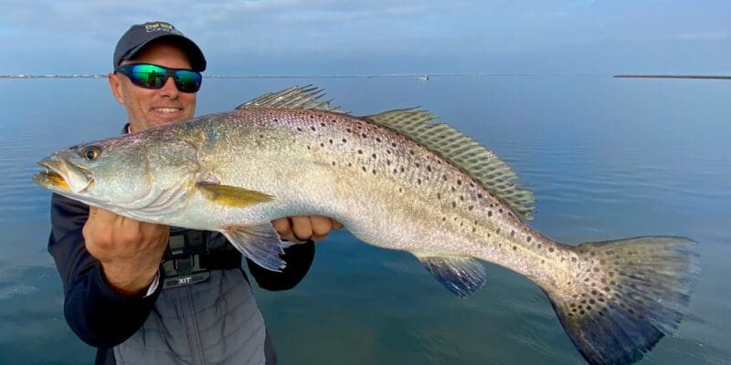 MARSH MAN MASSON: We Caught MONSTER Trout, Our Biggest In Years!