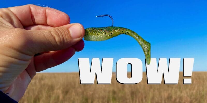 MARSH MAN MASSON: This Bait Has Gotten Super Hot Again!