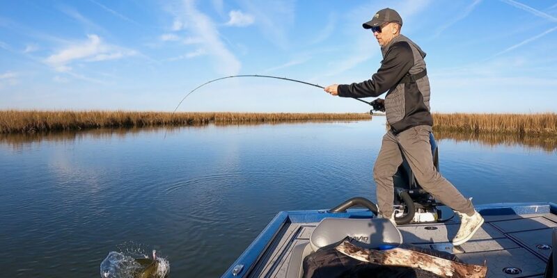MARSH MAN MASSON: This Discovery Made My Fishing Trip!