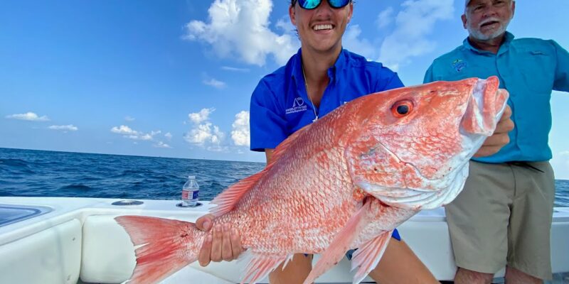 MARSH MAN MASSON: Gulf CHOKED With Red Snapper! Catch-n-Cook!