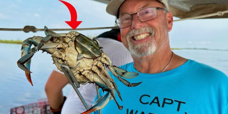 MARSH MAN MASSON: I Tagged Along On A Commercial Crab Boat!