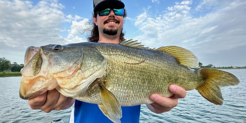 MARSH MAN MASSON: Fishing A Nearby Place Where BIG Bass Live!