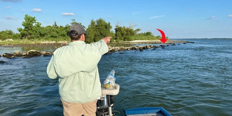 MARSH MAN MASSON: Look For THIS To Catch TONS Of Fish In The Big River