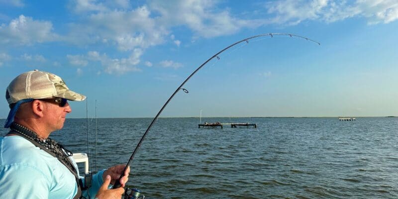 MARSH MAN MASSON: This Area LOADED With Beasts!