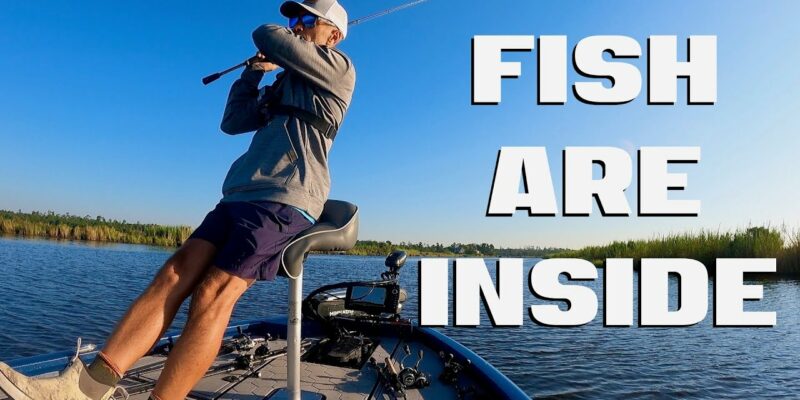 MARSH MAN MASSON: Good Bite Close To Home!