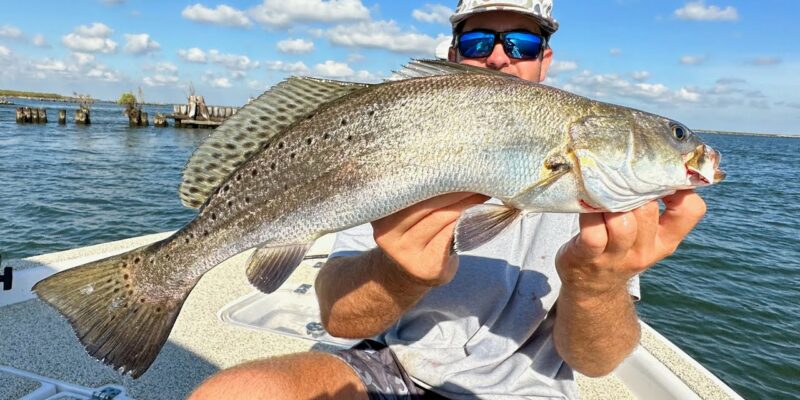 MARSH MAN MASSON: EVERYTHING Biting At Mouth Of Mississippi River!