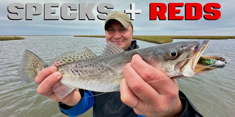 MARSH MAN MASSON: We Fished New Stuff And Found LOTS Of Fish!