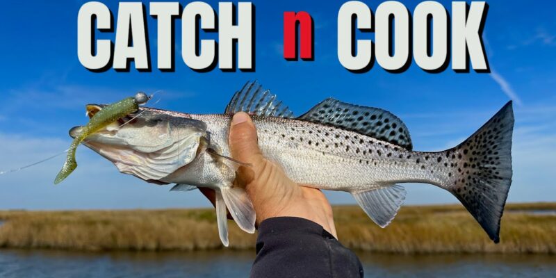 MARSH MAN MASSON: A Buncha Speckled Trout And A Sea Monster!