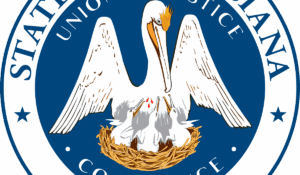 SADOW: Birthright Case Could Increase Louisiana GOP Legislators