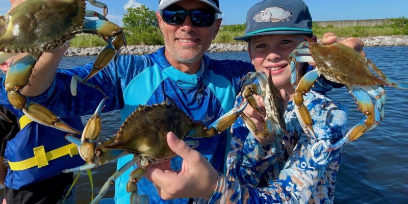 MARSH MAN MASSON: JUMBO Crabs are Running Now! (Catch & Cook)