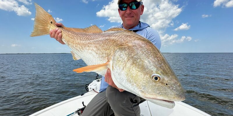 MARSH MAN MASSON: Target MASSIVE Redfish Along Louisiana Coast!